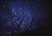 Stargazing at Sokcho, #13, 2001, C-Print, 125x175cm